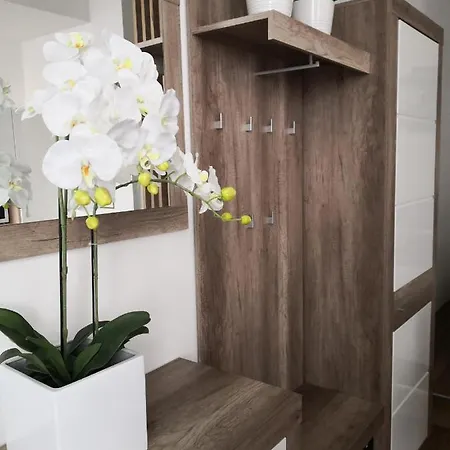 Apartman Slomskova *